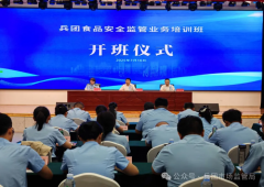  培训通过系统讲课