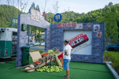  这不农人收入（估